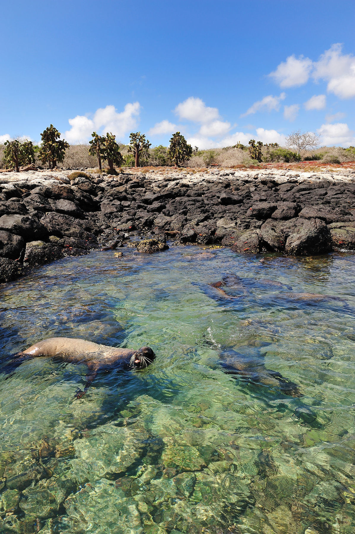 Pikaia Lodge Santa Cruz Island Dış mekan fotoğraf